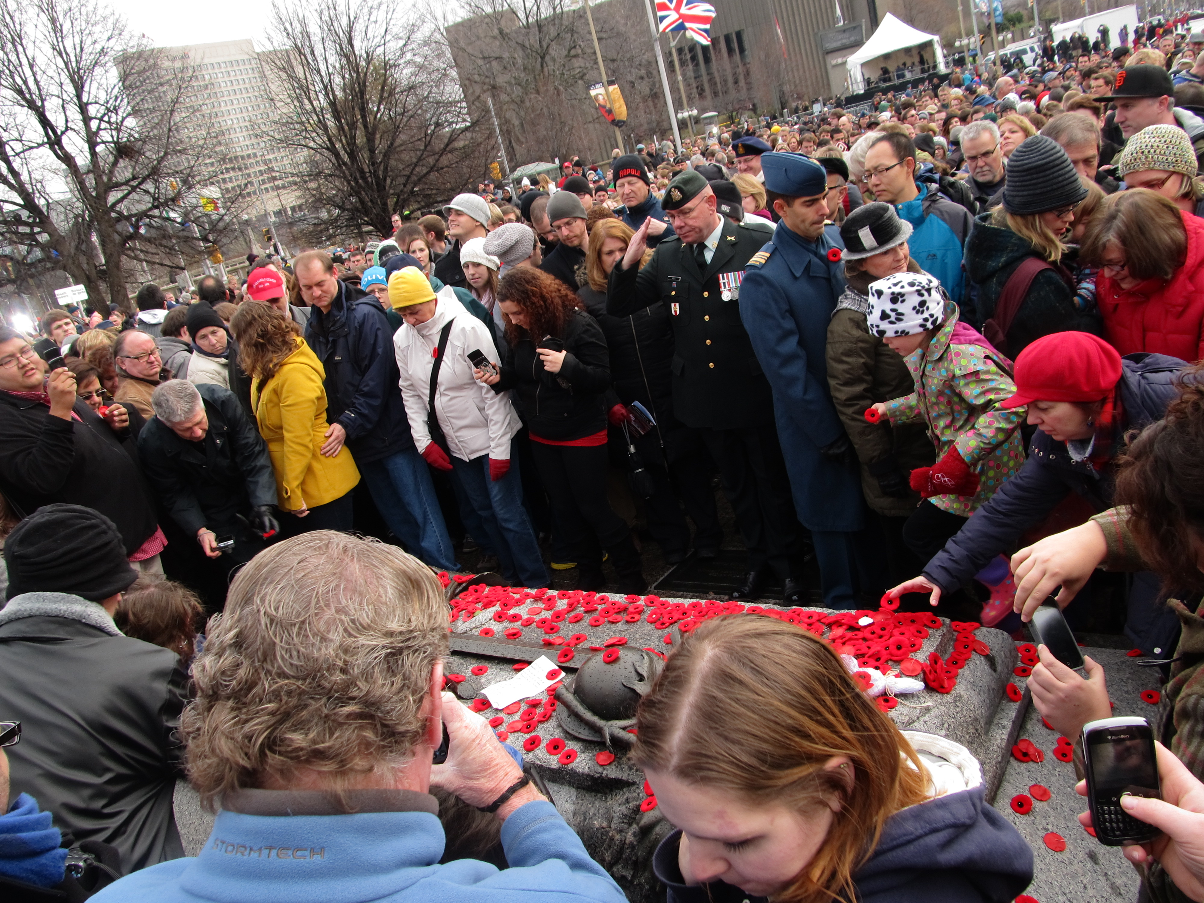 Ottawa, c2012: Saluting the Unknown Soldier
